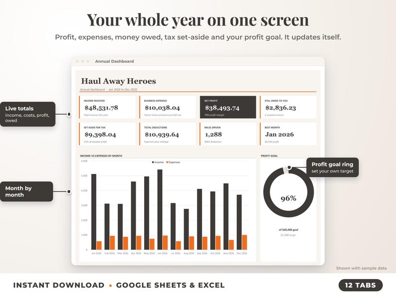 Annual dashboard with income, expenses, net profit, money owed, profit goal ring and category charts