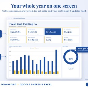 Annual dashboard with income, expenses, net profit, money owed, profit goal ring and category charts