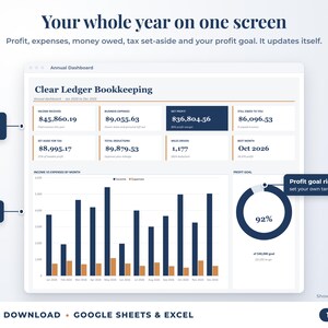 Annual dashboard with income, expenses, net profit, money owed, profit goal ring and category charts