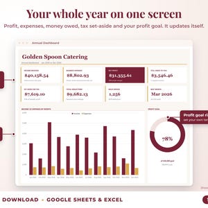 Annual dashboard with income, expenses, net profit, money owed, profit goal ring and category charts