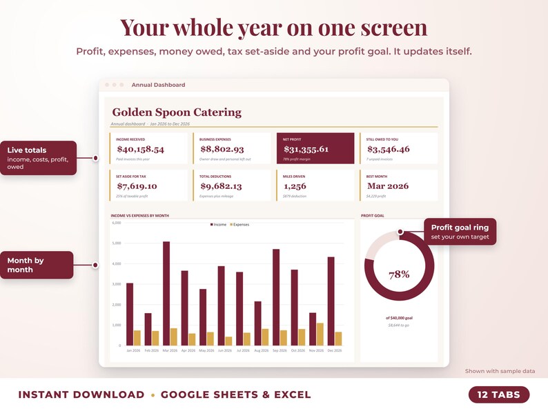 Annual dashboard with income, expenses, net profit, money owed, profit goal ring and category charts