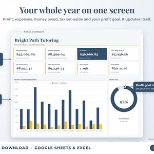 Annual dashboard with income, expenses, net profit, money owed, profit goal ring and category charts