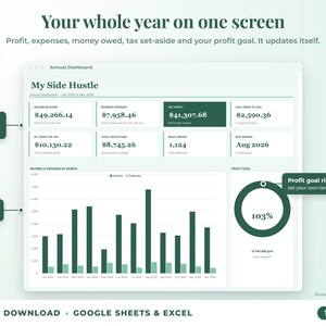Annual dashboard with income, expenses, net profit, money owed, profit goal ring and category charts