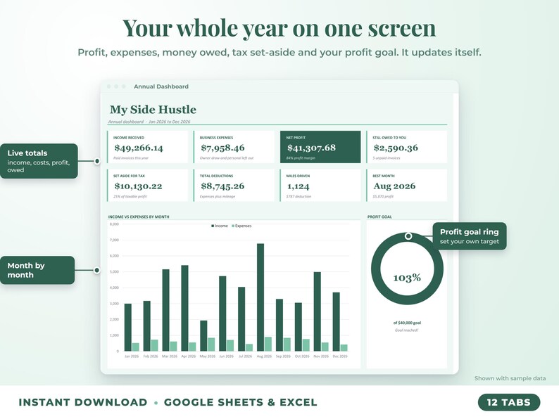 Annual dashboard with income, expenses, net profit, money owed, profit goal ring and category charts