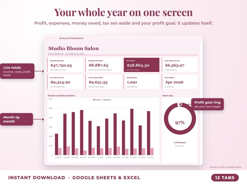 Annual dashboard with income, expenses, net profit, money owed, profit goal ring and category charts