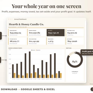 Annual dashboard with income, expenses, net profit, money owed, profit goal ring and category charts