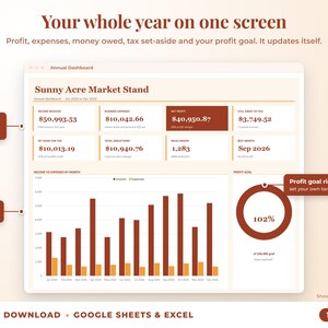 Annual dashboard with income, expenses, net profit, money owed, profit goal ring and category charts