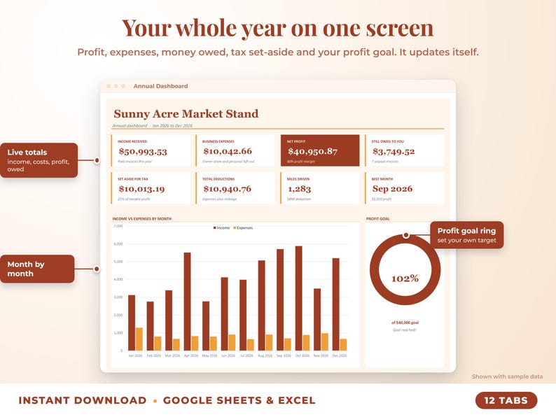 Annual dashboard with income, expenses, net profit, money owed, profit goal ring and category charts