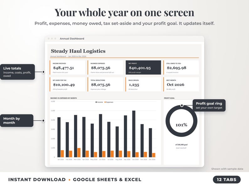 Annual dashboard with income, expenses, net profit, money owed, profit goal ring and category charts