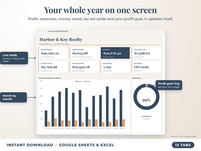 Annual dashboard with income, expenses, net profit, money owed, profit goal ring and category charts