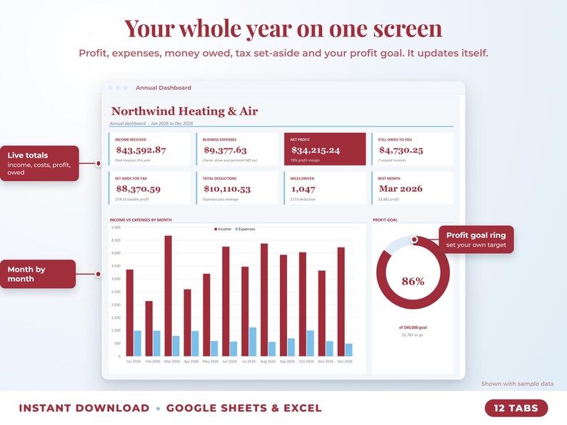 Annual dashboard with income, expenses, net profit, money owed, profit goal ring and category charts