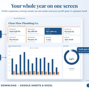 Annual dashboard with income, expenses, net profit, money owed, profit goal ring and category charts