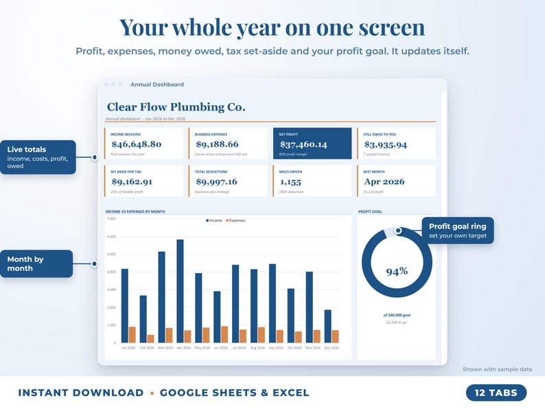 Annual dashboard with income, expenses, net profit, money owed, profit goal ring and category charts