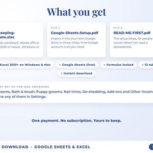 What is included: 12-tab Excel workbook, Google Sheets setup guide and read-me-first guide
