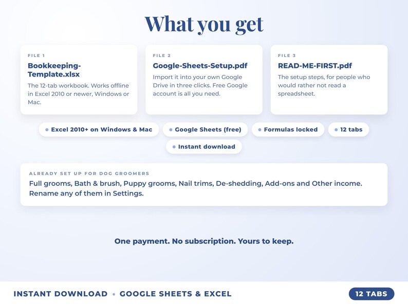 What is included: 12-tab Excel workbook, Google Sheets setup guide and read-me-first guide