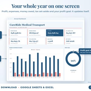 Annual dashboard with income, expenses, net profit, money owed, profit goal ring and category charts