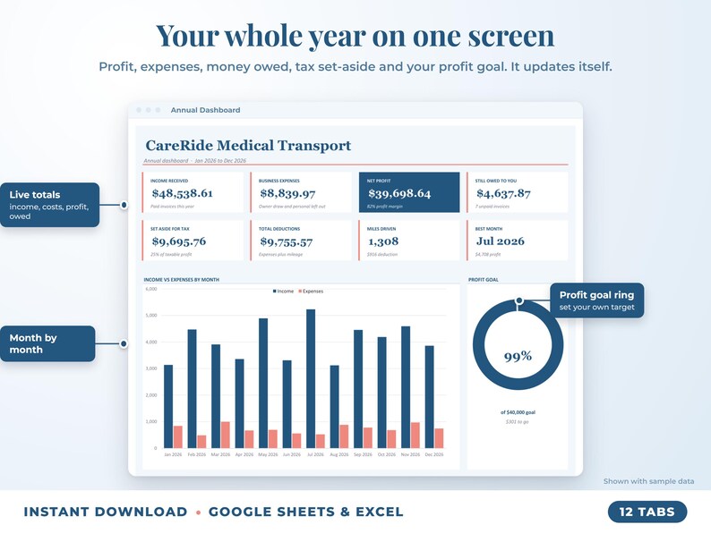 Annual dashboard with income, expenses, net profit, money owed, profit goal ring and category charts