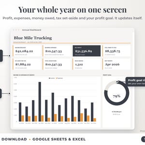 Annual dashboard with income, expenses, net profit, money owed, profit goal ring and category charts