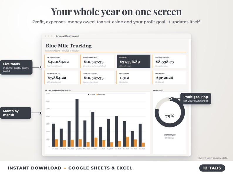 Annual dashboard with income, expenses, net profit, money owed, profit goal ring and category charts