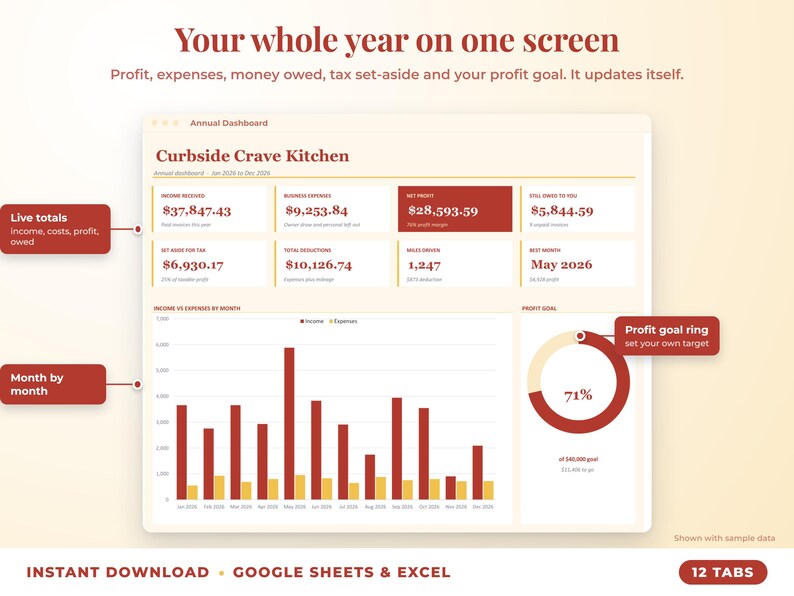 Annual dashboard with income, expenses, net profit, money owed, profit goal ring and category charts