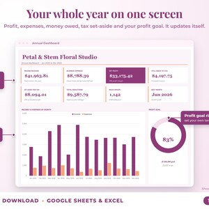 Annual dashboard with income, expenses, net profit, money owed, profit goal ring and category charts