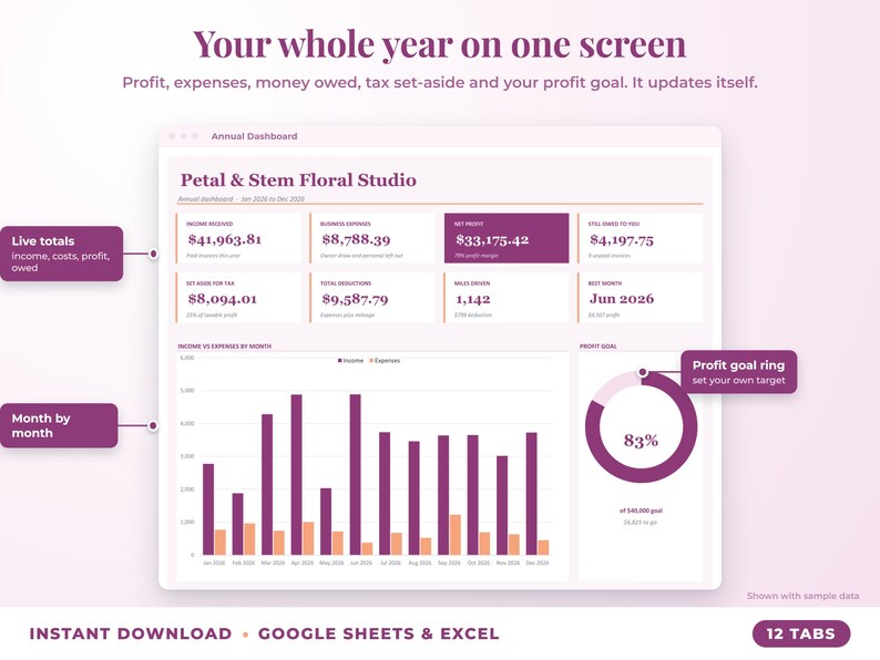 Annual dashboard with income, expenses, net profit, money owed, profit goal ring and category charts