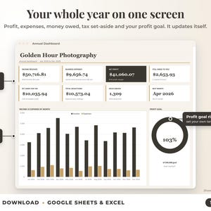 Annual dashboard with income, expenses, net profit, money owed, profit goal ring and category charts