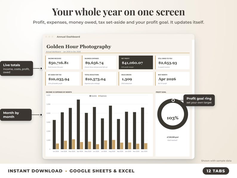 Annual dashboard with income, expenses, net profit, money owed, profit goal ring and category charts