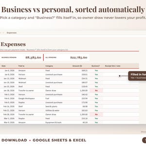 Expenses sheet where business or personal is filled in automatically from the category