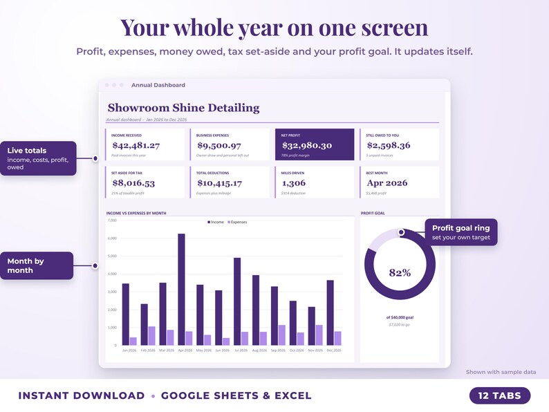 Annual dashboard with income, expenses, net profit, money owed, profit goal ring and category charts