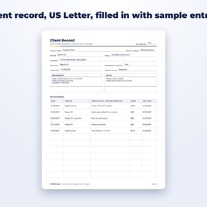Client Record & Appointment Pages page preview