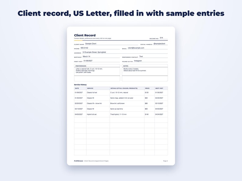 Client Record & Appointment Pages page preview