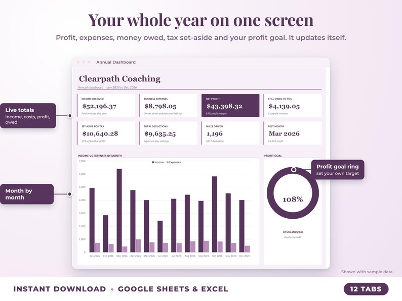 Annual dashboard with income, expenses, net profit, money owed, profit goal ring and category charts