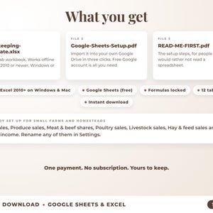 What is included: 12-tab Excel workbook, Google Sheets setup guide and read-me-first guide