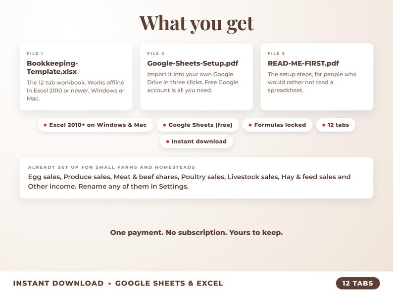 What is included: 12-tab Excel workbook, Google Sheets setup guide and read-me-first guide