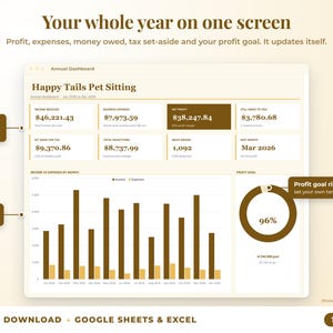 Annual dashboard with income, expenses, net profit, money owed, profit goal ring and category charts