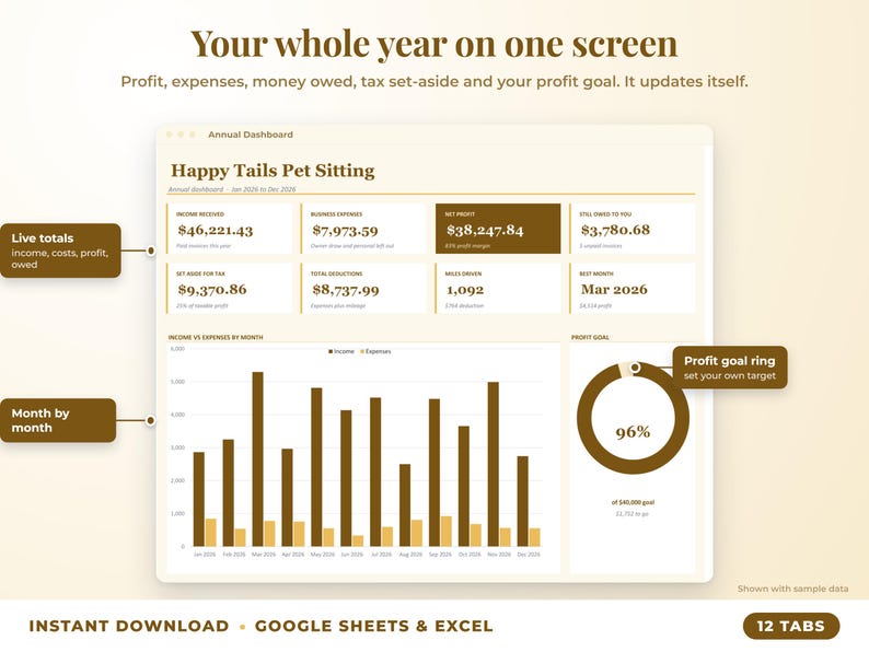 Annual dashboard with income, expenses, net profit, money owed, profit goal ring and category charts
