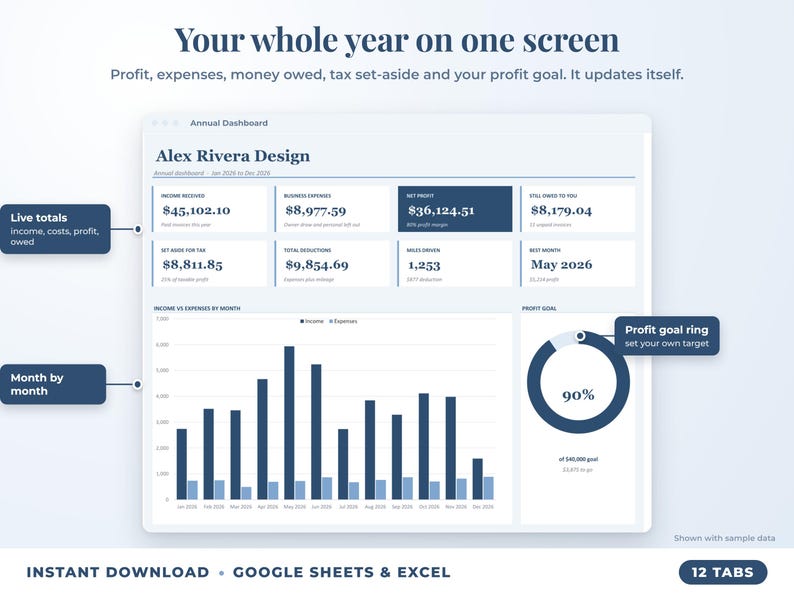 Annual dashboard with income, expenses, net profit, money owed, profit goal ring and category charts