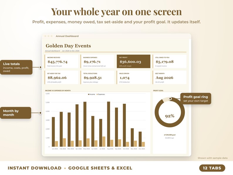 Annual dashboard with income, expenses, net profit, money owed, profit goal ring and category charts