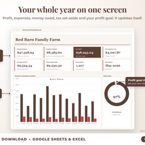 Annual dashboard with income, expenses, net profit, money owed, profit goal ring and category charts