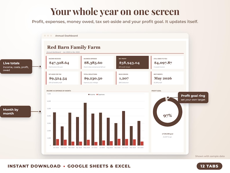 Annual dashboard with income, expenses, net profit, money owed, profit goal ring and category charts