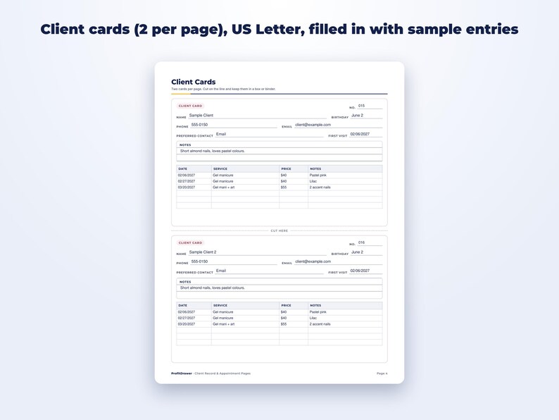 Client Record & Appointment Pages page preview