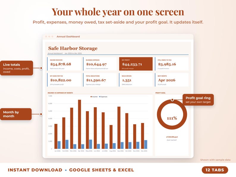 Annual dashboard with income, expenses, net profit, money owed, profit goal ring and category charts