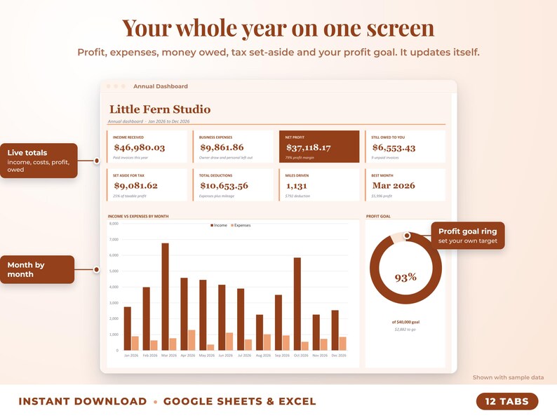 Annual dashboard with income, expenses, net profit, money owed, profit goal ring and category charts