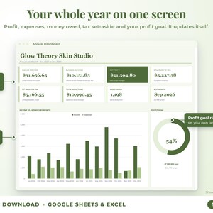 Annual dashboard with income, expenses, net profit, money owed, profit goal ring and category charts