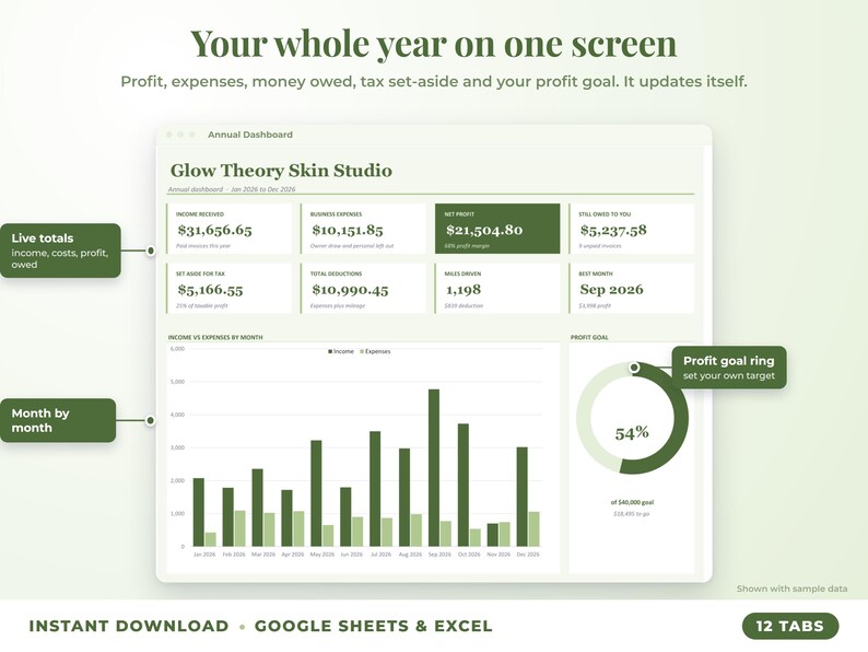 Annual dashboard with income, expenses, net profit, money owed, profit goal ring and category charts