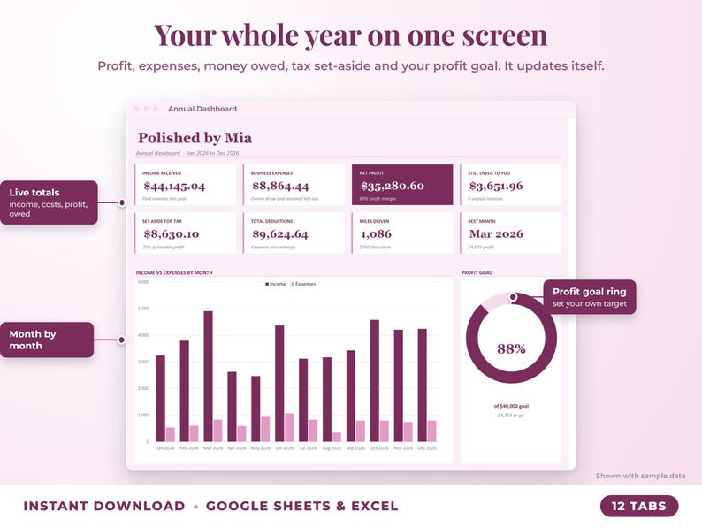 Annual dashboard with income, expenses, net profit, money owed, profit goal ring and category charts