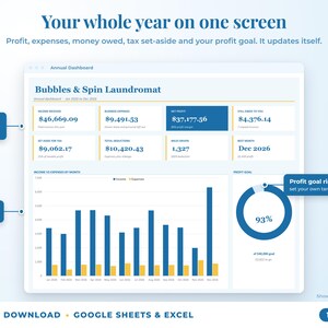 Annual dashboard with income, expenses, net profit, money owed, profit goal ring and category charts