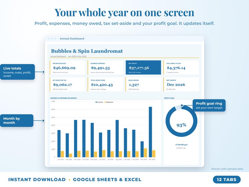 Annual dashboard with income, expenses, net profit, money owed, profit goal ring and category charts