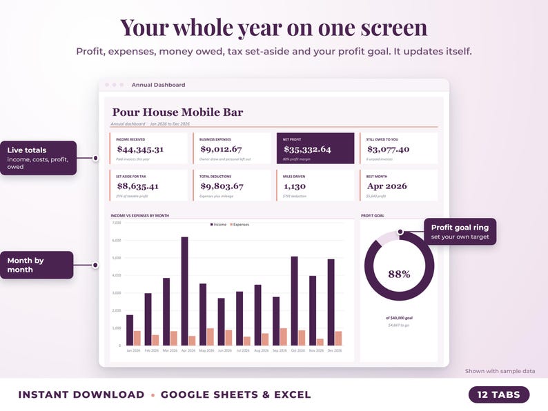 Annual dashboard with income, expenses, net profit, money owed, profit goal ring and category charts